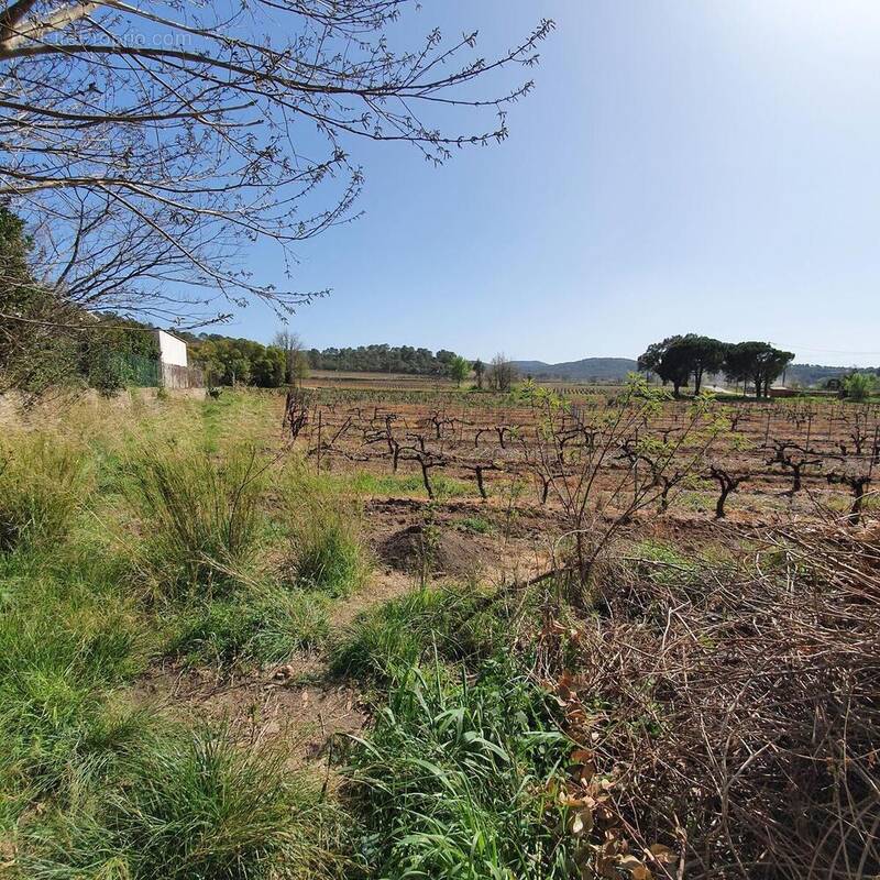 Terrain à PIERREFEU-DU-VAR