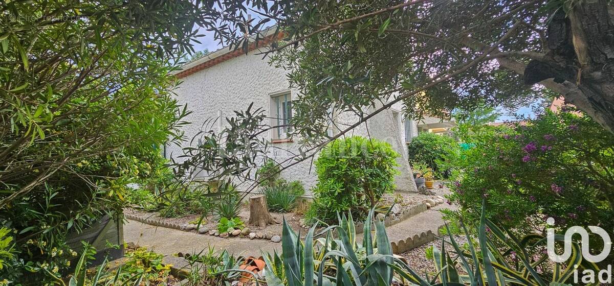 Photo 1 - Maison à TOULOUGES