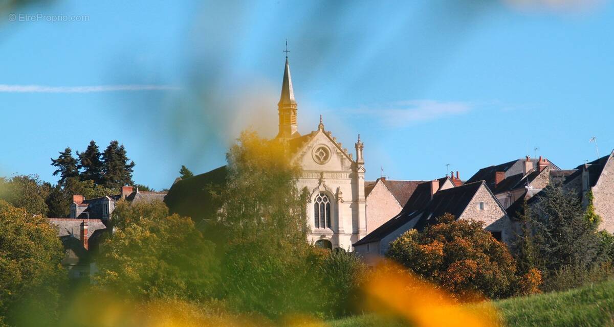 Commerce à MONTLOUIS-SUR-LOIRE