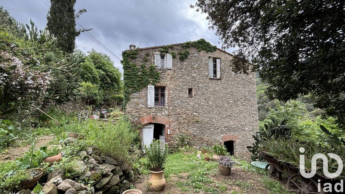Photo 1 - Maison à MAUREILLAS-LAS-ILLAS