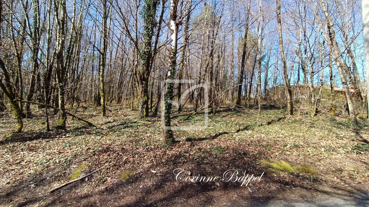 Terrain à SARLIAC-SUR-L&#039;ISLE