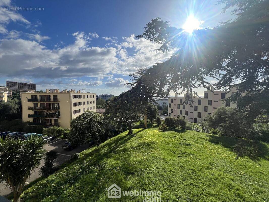 La vue est parfaitement dégagée - Appartement à SAN-MARTINO-DI-LOTA