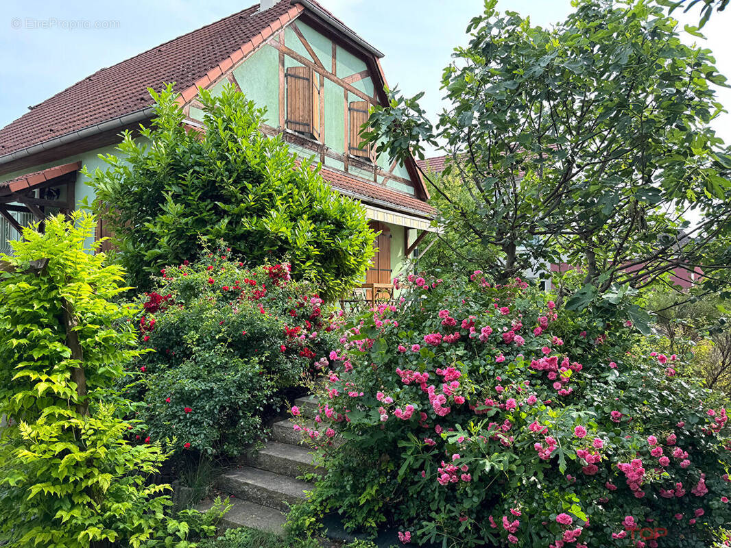 Maison à COLMAR