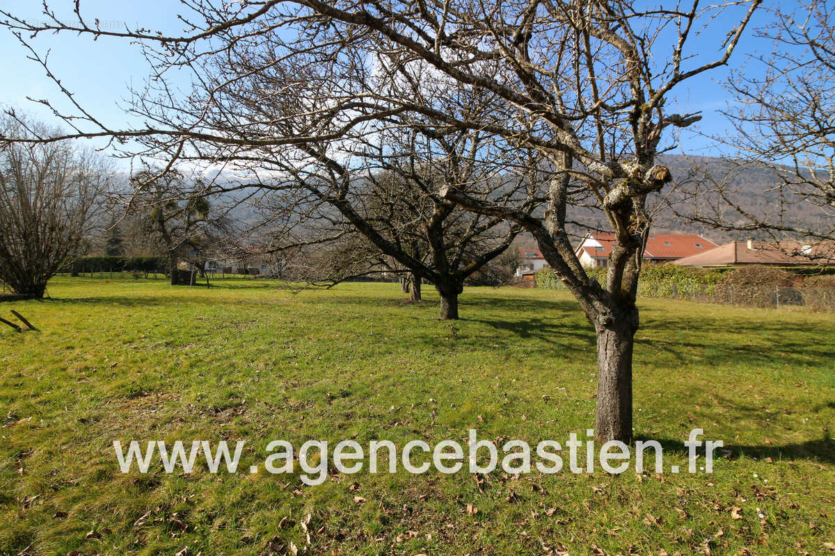 Terrain à ECHENEVEX