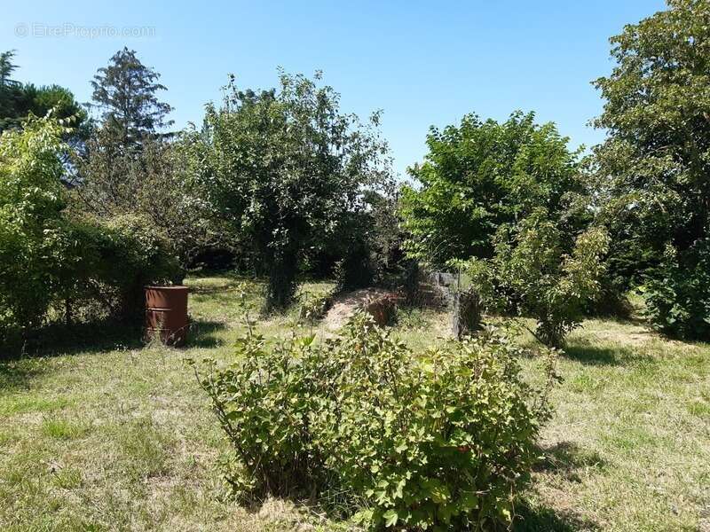 Terrain à BEAUREPAIRE