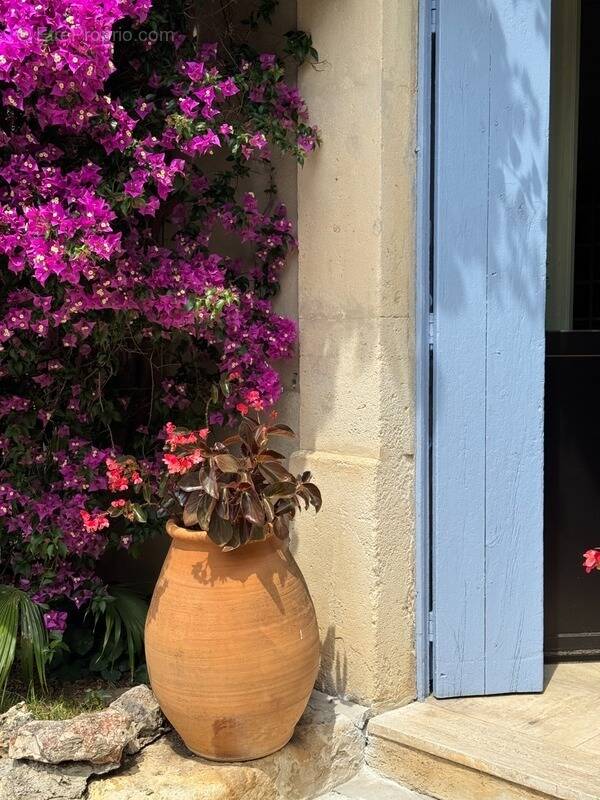 Maison à MONTPELLIER