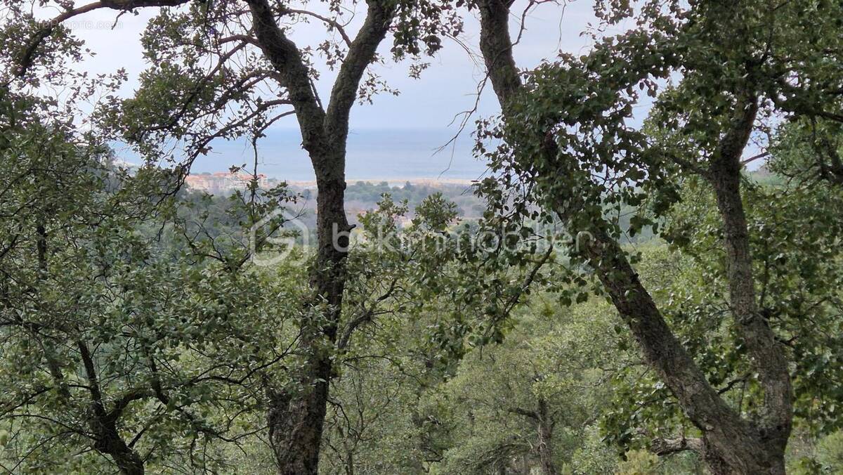 Terrain à ARGELES-SUR-MER