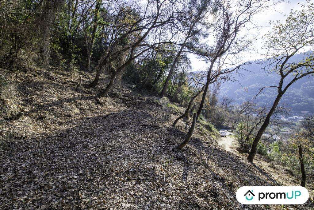 Terrain à GORBIO
