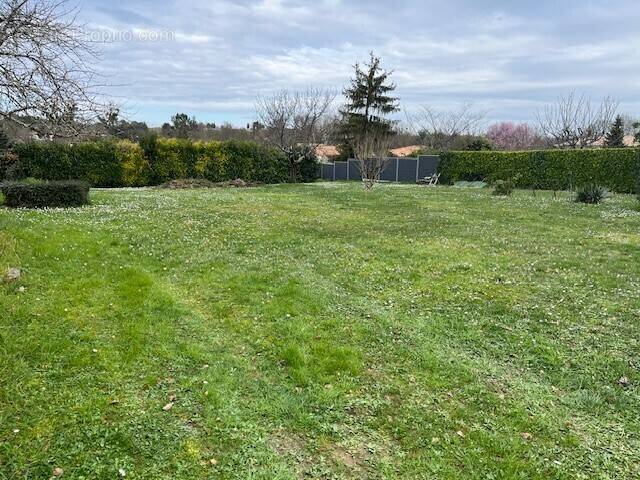 Terrain à COGNAC