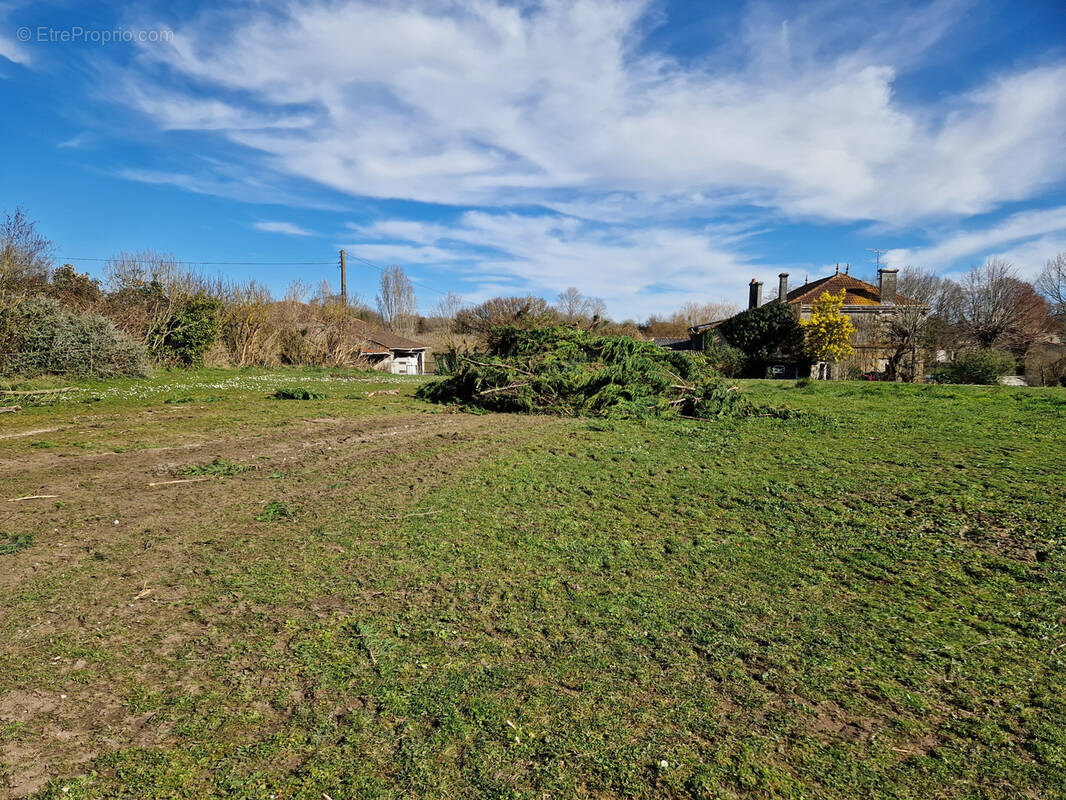 Terrain à CHATEAUNEUF-SUR-CHARENTE