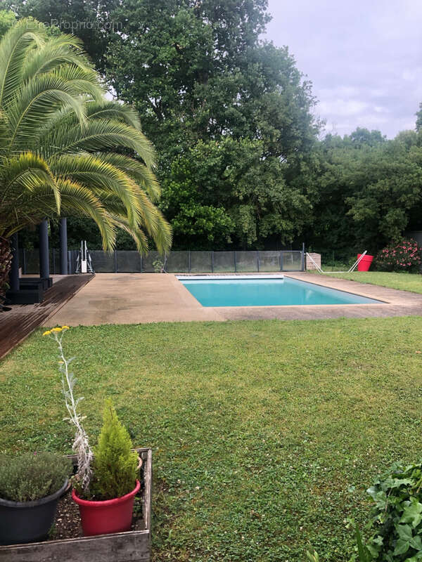 Maison à COGNAC