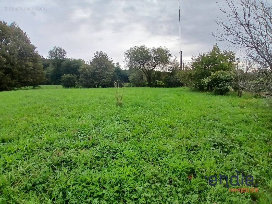 Terrain à AMOU