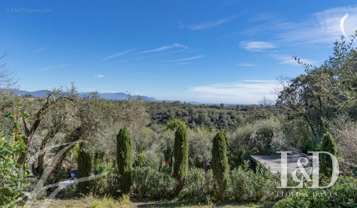 Terrain à ROQUEFORT-LES-PINS