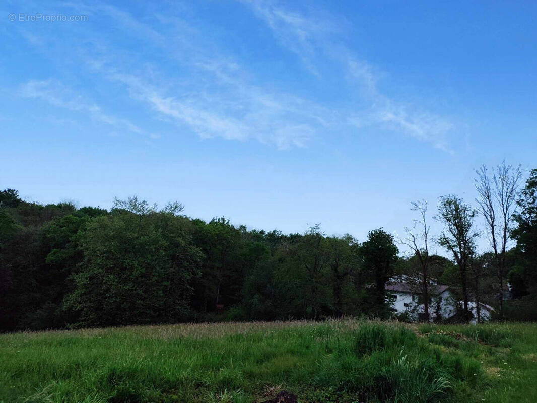 Terrain à URCUIT