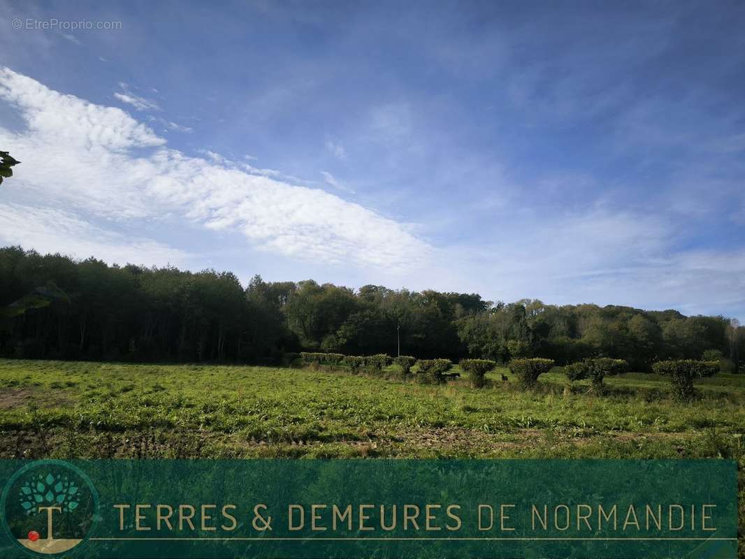 Terrain à CORMEILLES