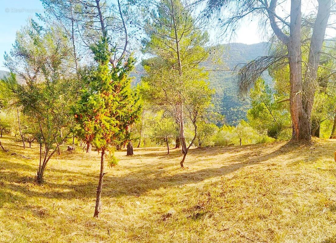 Terrain à PIERREFEU