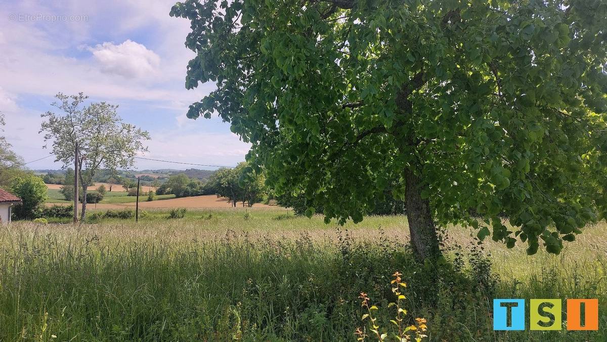 Terrain à CIADOUX