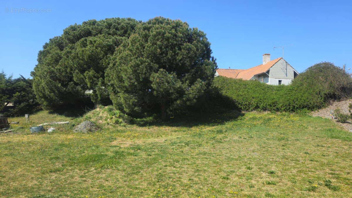 Terrain à NOTRE-DAME-DE-MONTS