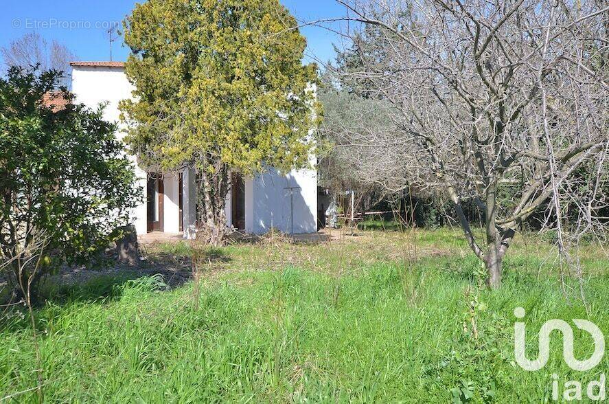 Photo 1 - Maison à ARLES