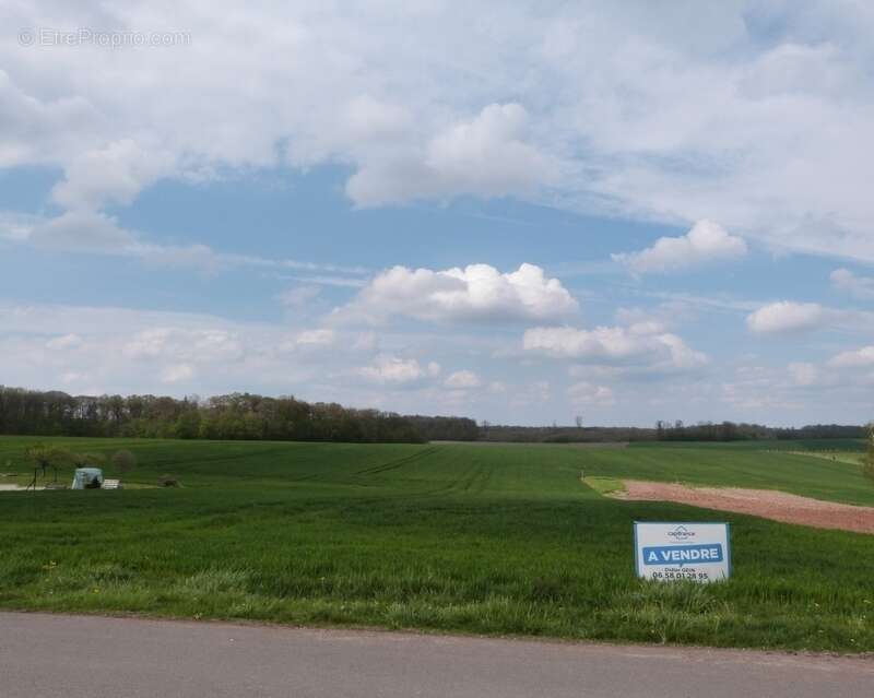 Terrain à SARRALBE