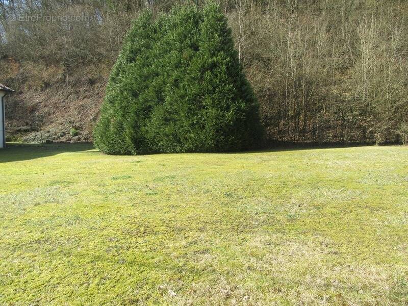 Terrain à JOEUF