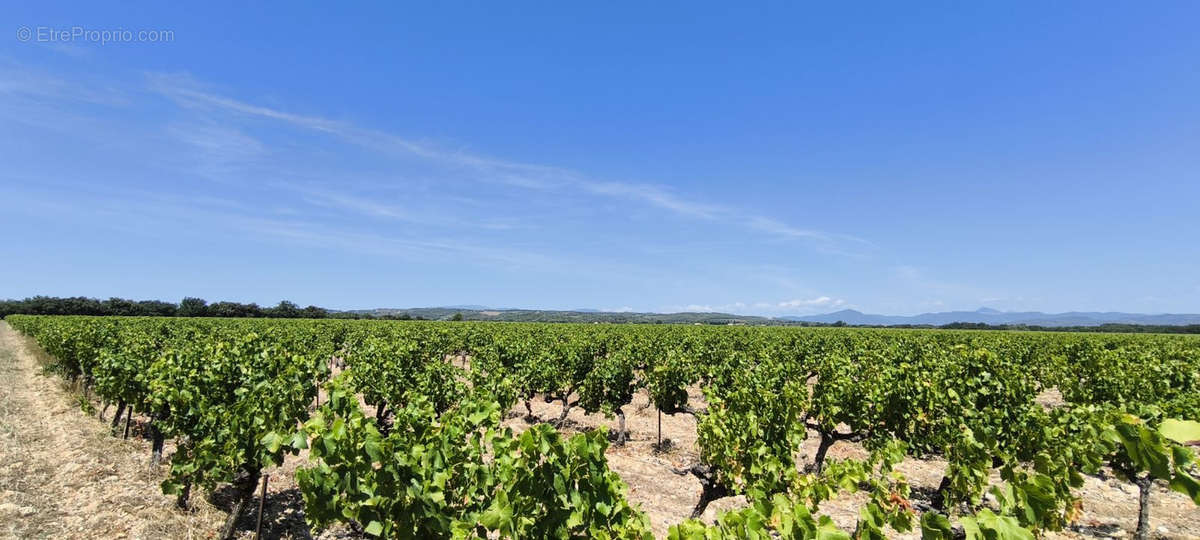 Terrain à VISAN
