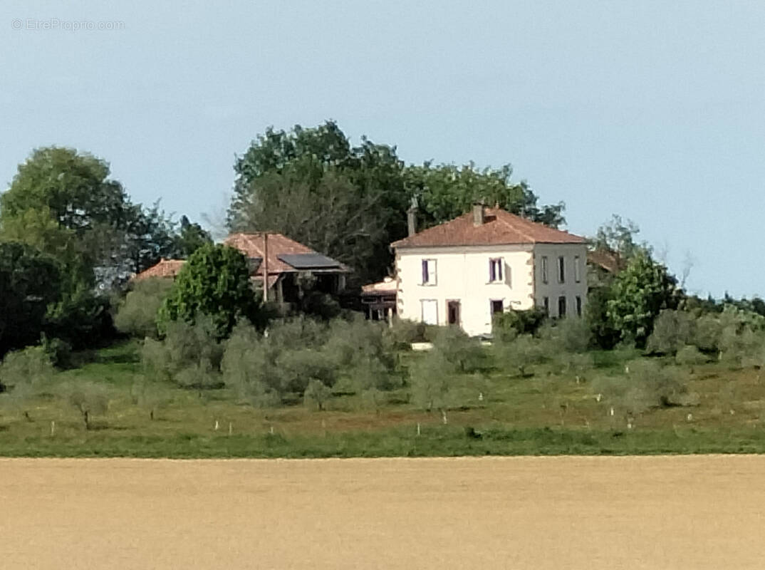 Maison à MIRANDE