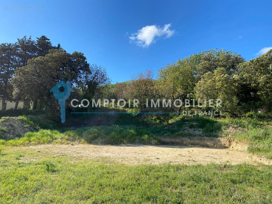 Terrain à ENTRAIGUES-SUR-LA-SORGUE