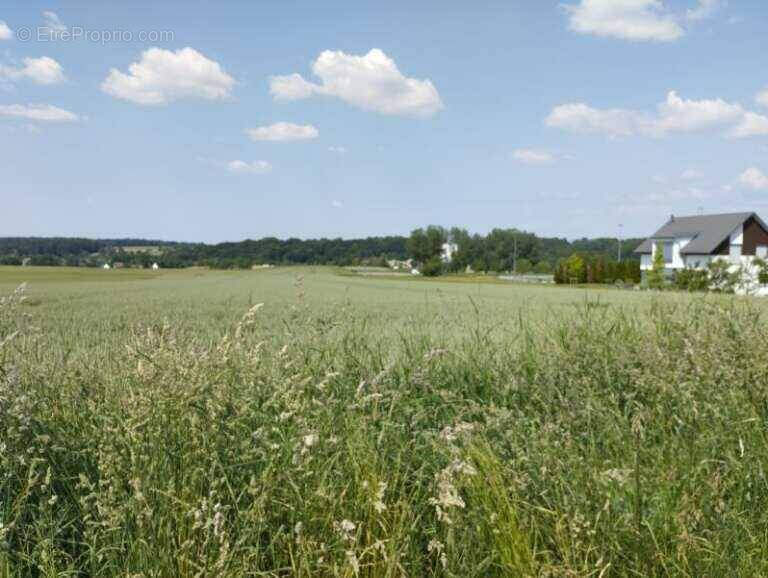Terrain à MUESPACH-LE-HAUT