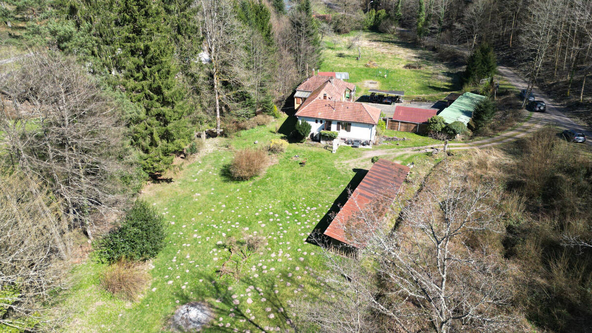 Maison à WISCHES