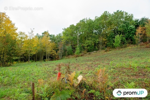 Terrain à SARLAT-LA-CANEDA