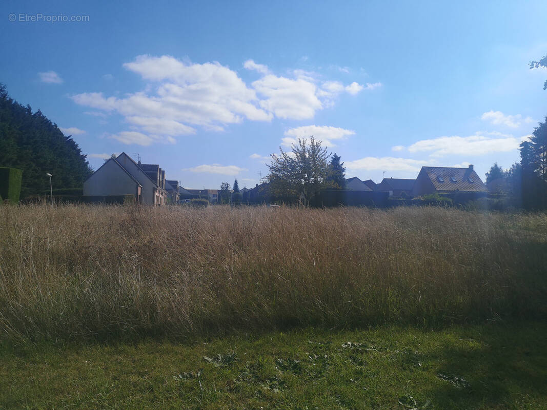 Terrain à PROVILLE