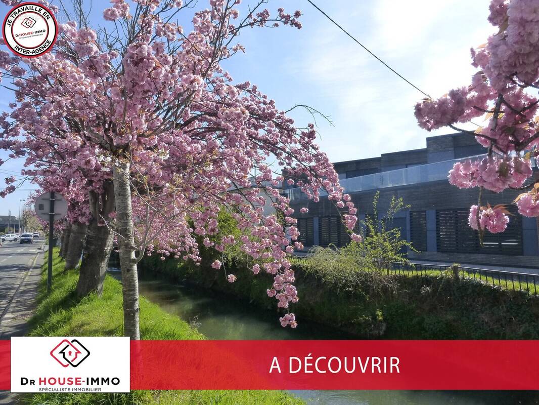 Commerce à BETHUNE