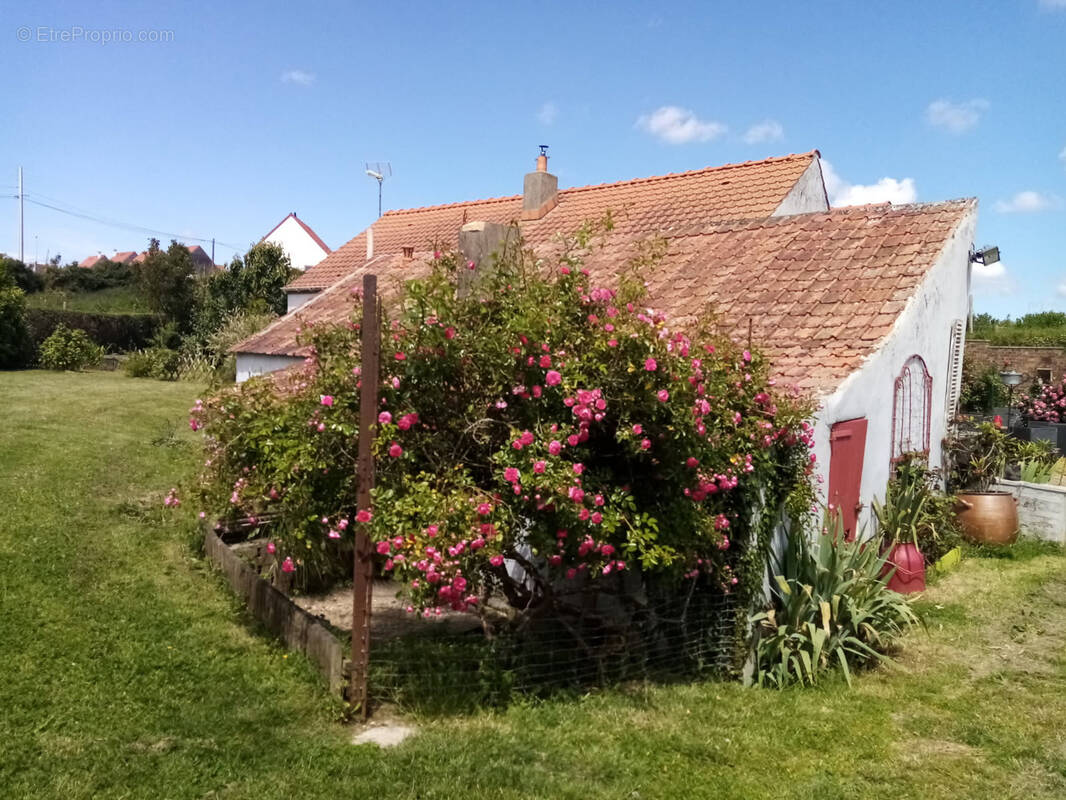 Maison à LEULINGHEN-BERNES