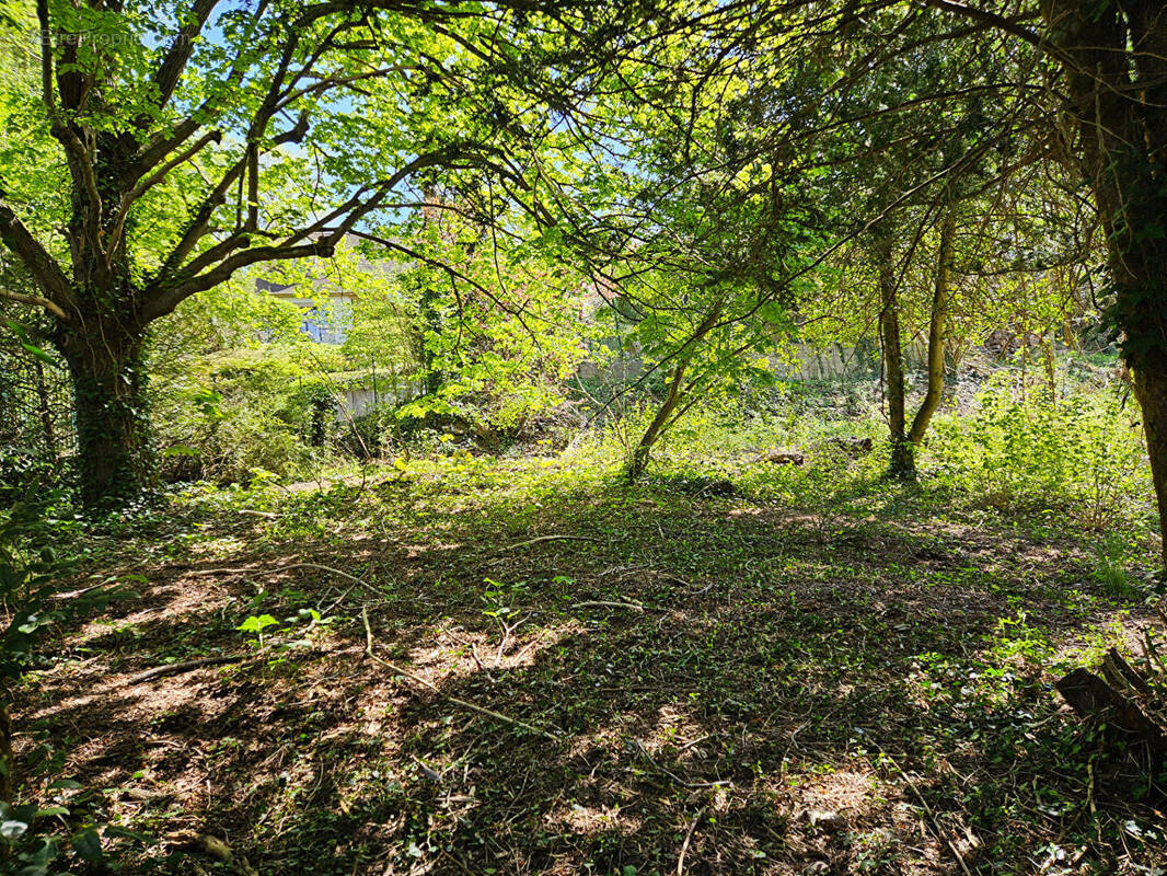Terrain à MAREIL-SUR-MAULDRE