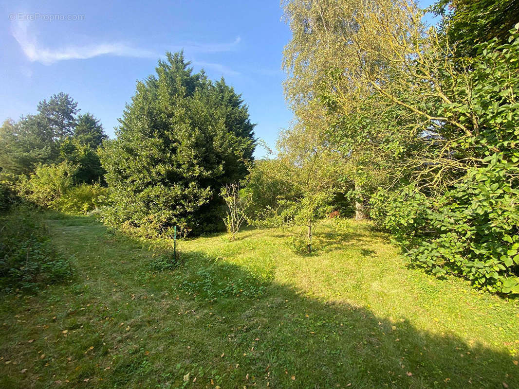 Terrain à LAPUGNOY