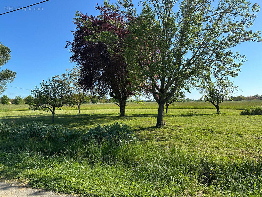 Terrain à GAILLAC