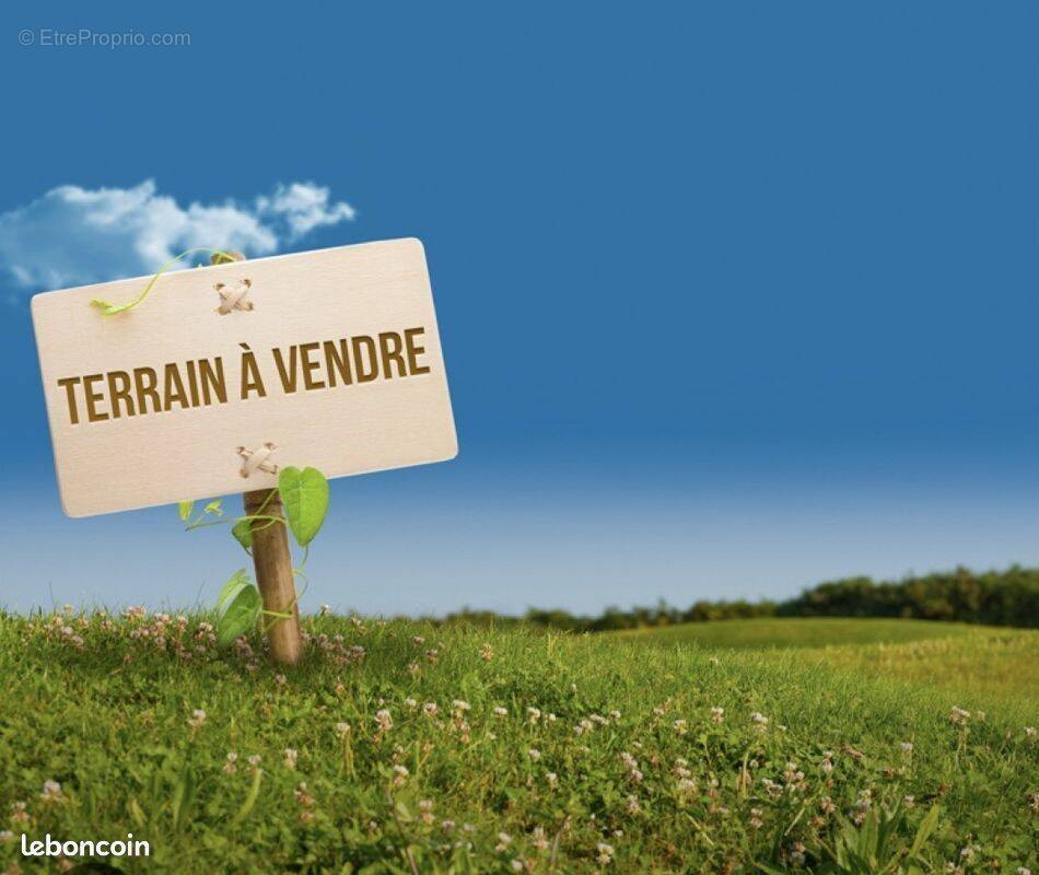 Terrain à NAIZIN