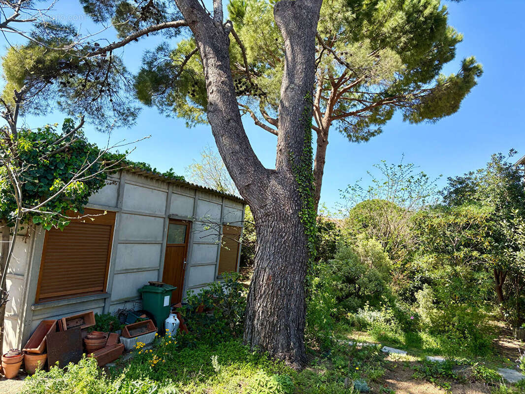Terrain à SETE