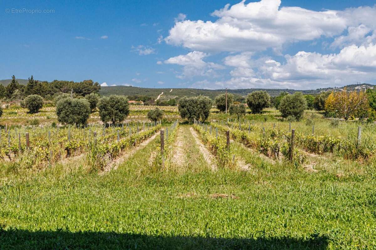Maison à LE CASTELLET