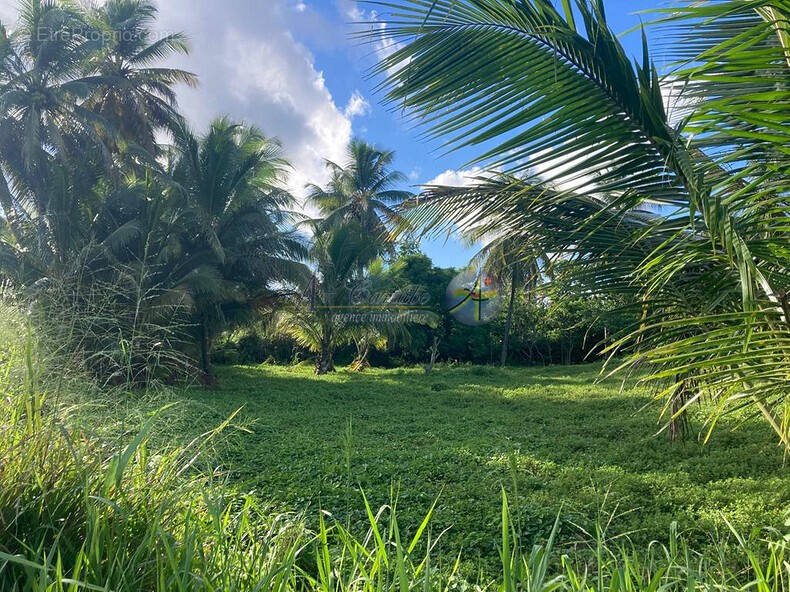 Terrain à MORNE-A-L&#039;EAU
