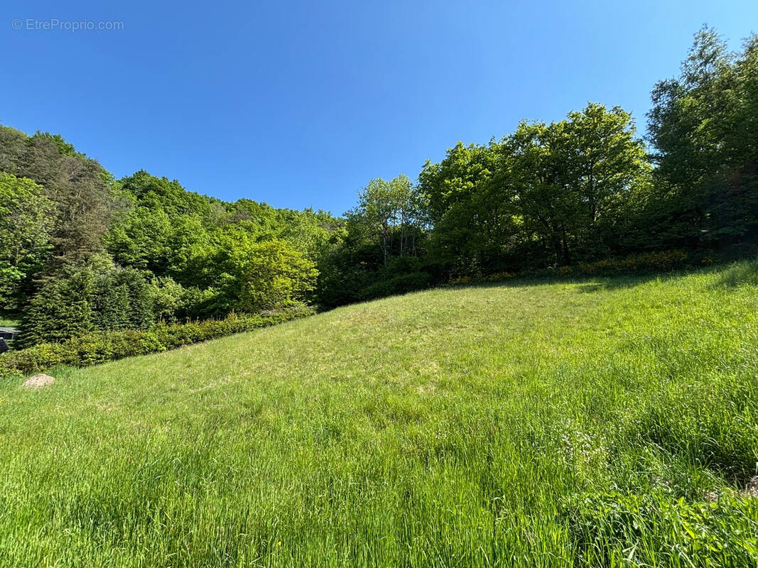 Terrain à SAINT-DIE-DES-VOSGES