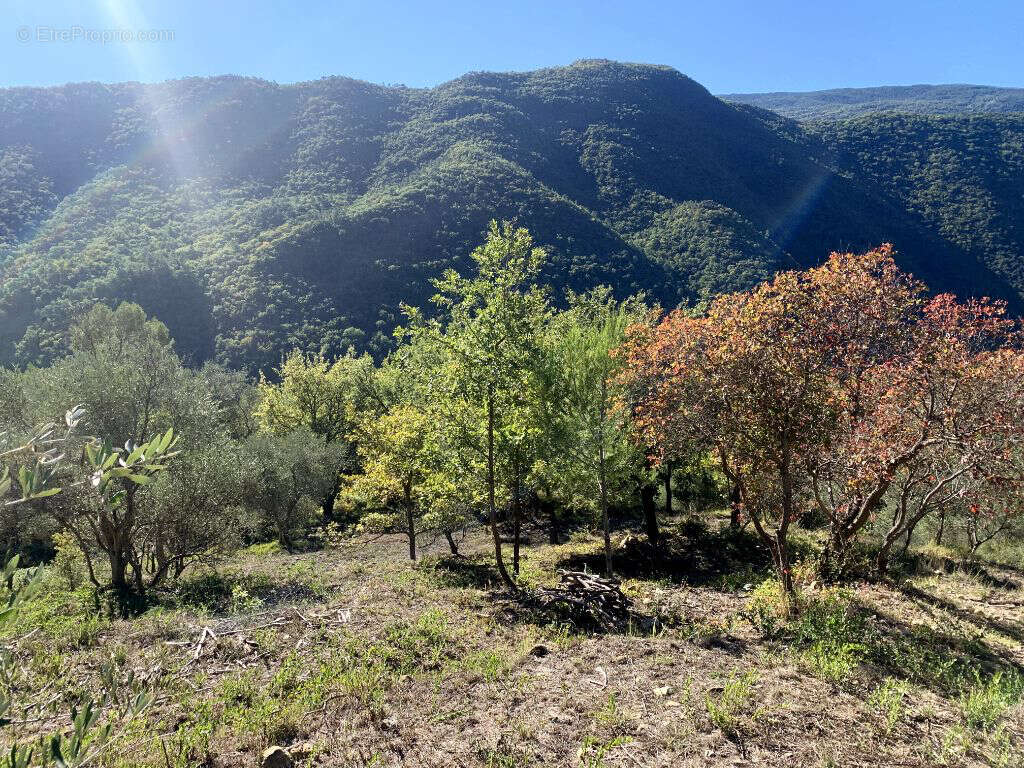 Terrain à PIERREFEU