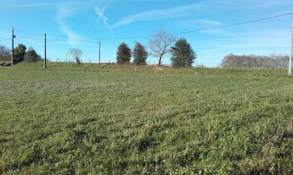 Terrain à CASTANET