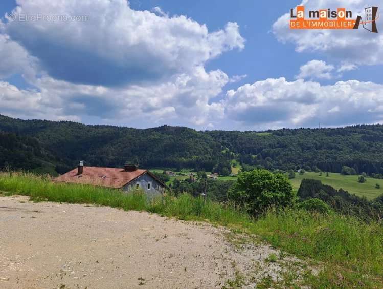 Terrain à SEPTMONCEL