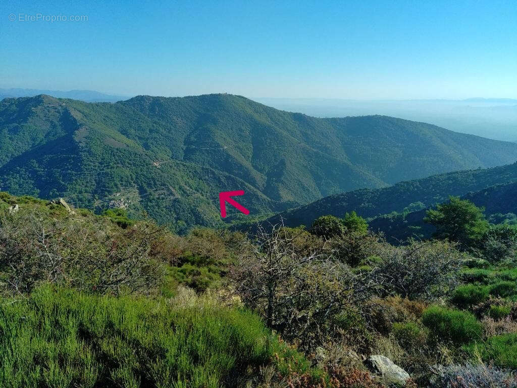 Terrain à LES VANS