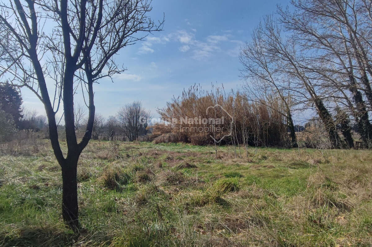 Terrain à MONTEUX