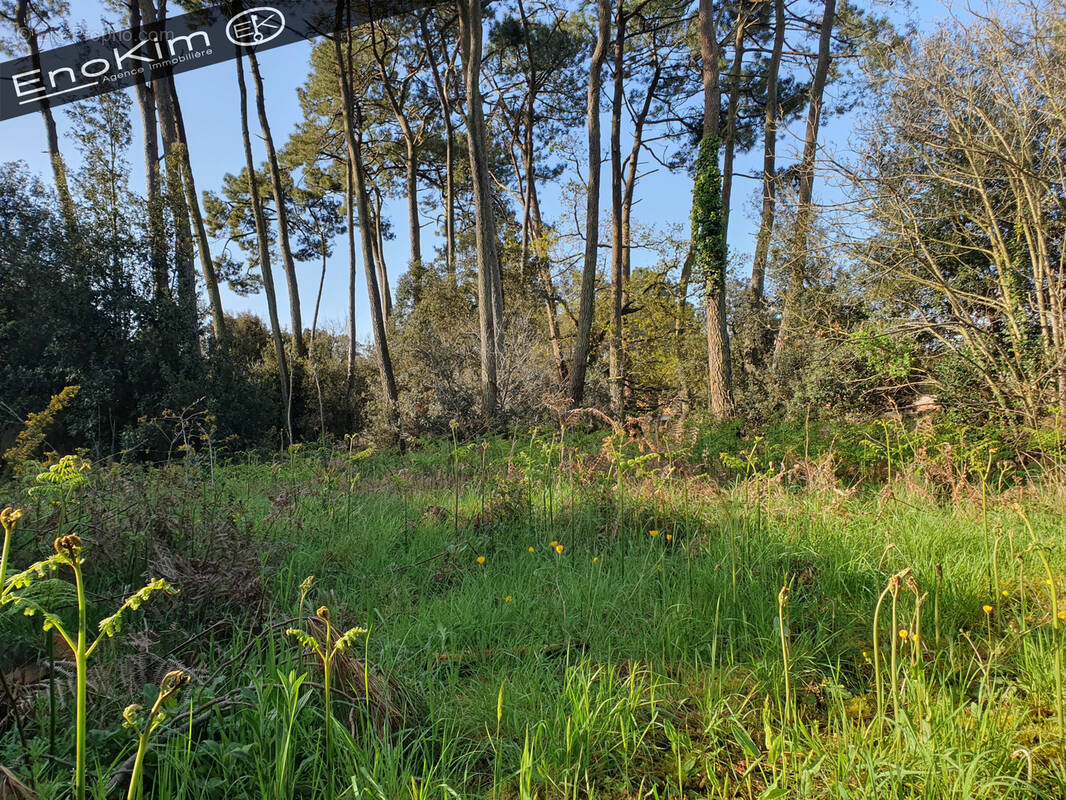 Terrain à JARD-SUR-MER