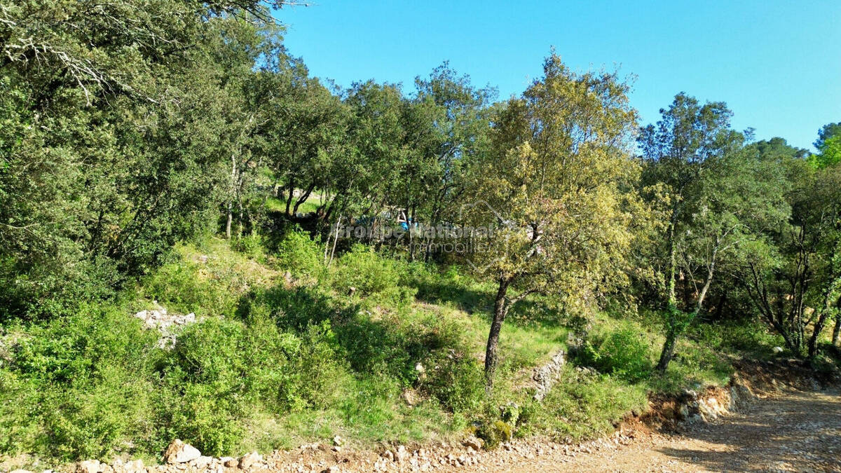 Terrain à VIDAUBAN