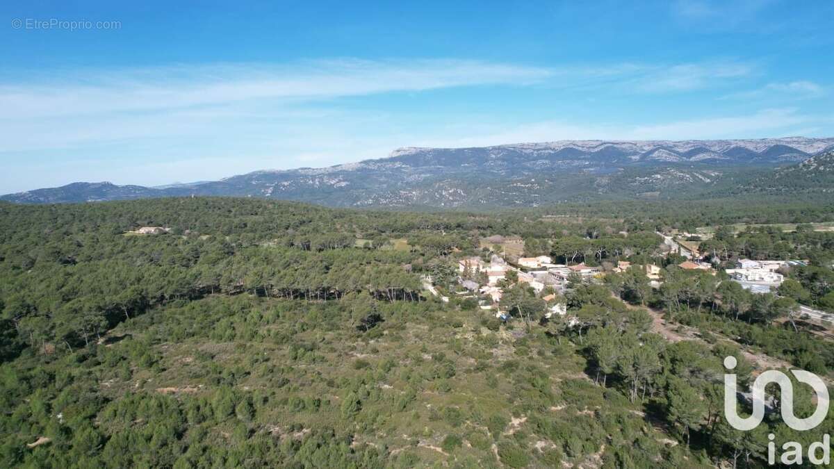 Photo 3 - Terrain à LE CASTELLET